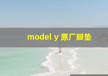 model y 原厂脚垫